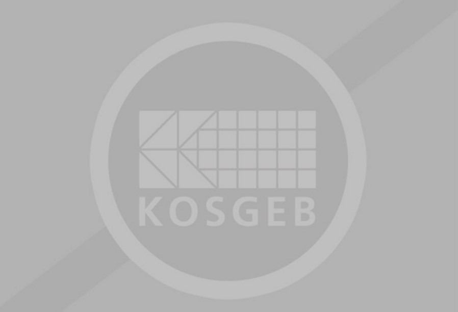 KOSGEB’in Desteklediği Sektörler Nelerdir?