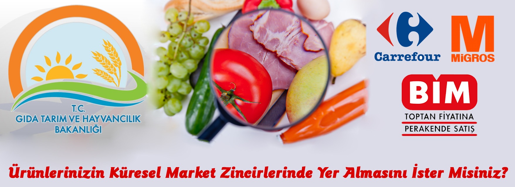 T.C. GIDA TARIM VE HAYVANCILIK BAKANLIĞI GIDA YÖNETMELİĞİ DENETİMLERİ VE DANIŞMANLIK KAVRAMI