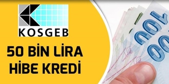 2016 Yılı KOSGEB Devlet Destekleri Nelerdir?
