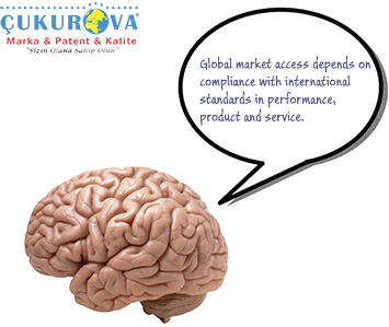 Ünlü Düşünürlerin Güzel Sözleri