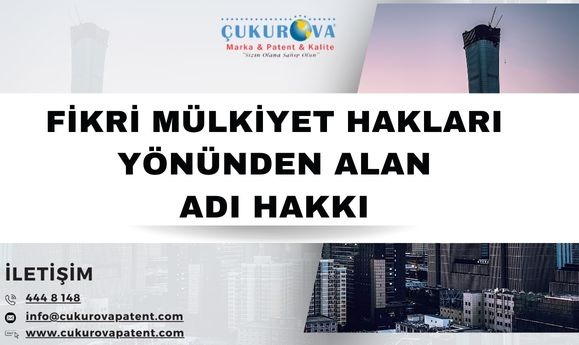 Fikri Mülkiyet Hakları Yönünden Alan Adı Hakkı