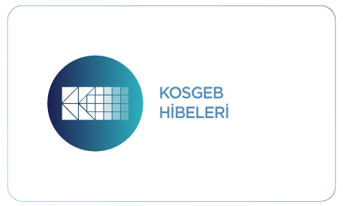 Paranız Kadar Devlet Hibeleri Nasıl Alınır?