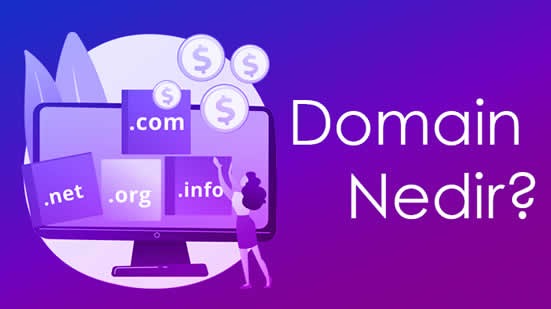 DOMAİN (ALAN ADI ) NEDİR?