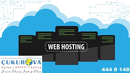 Hosting Nedir ?