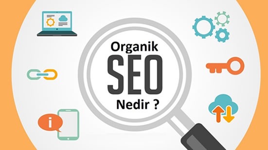 Organik Seo Nedir?