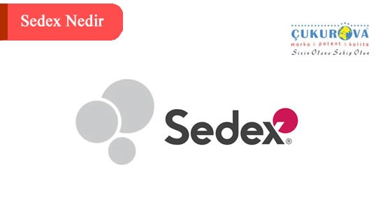 SEDEX NEDİR? SEDEX BELGESİ VAR MIDIR ?
