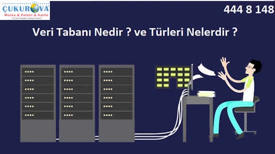 Veri Tabanı Nedir ve Türleri Nelerdir ?